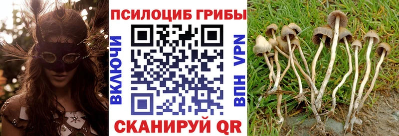 Галлюциногенные грибы MAGIC MUSHROOMS  Вятские Поляны 